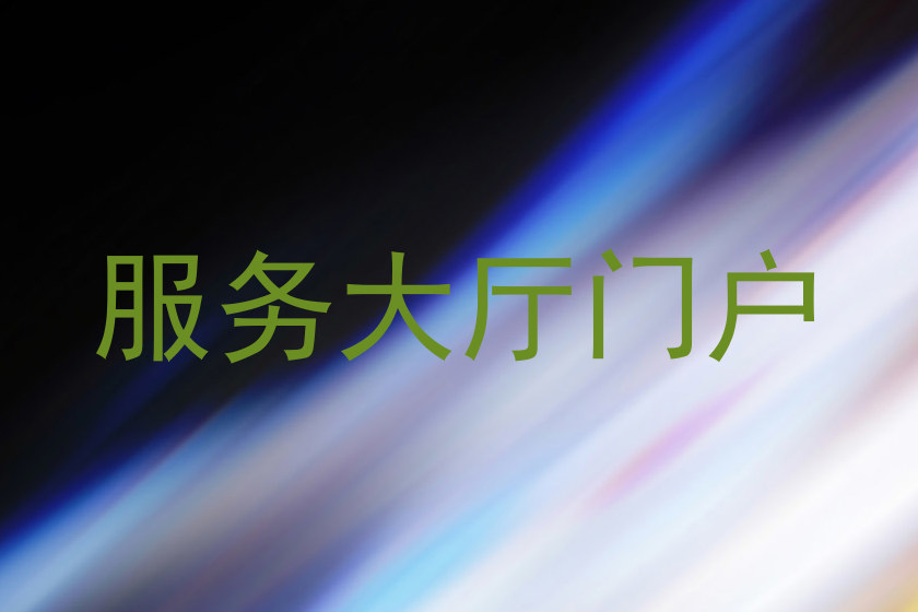 服务大厅门户
