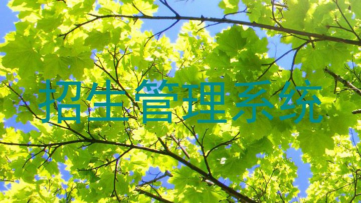 招生管理系统