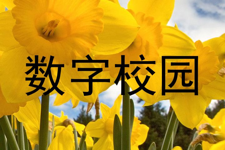 数字校园