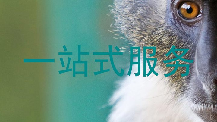 一站式服务