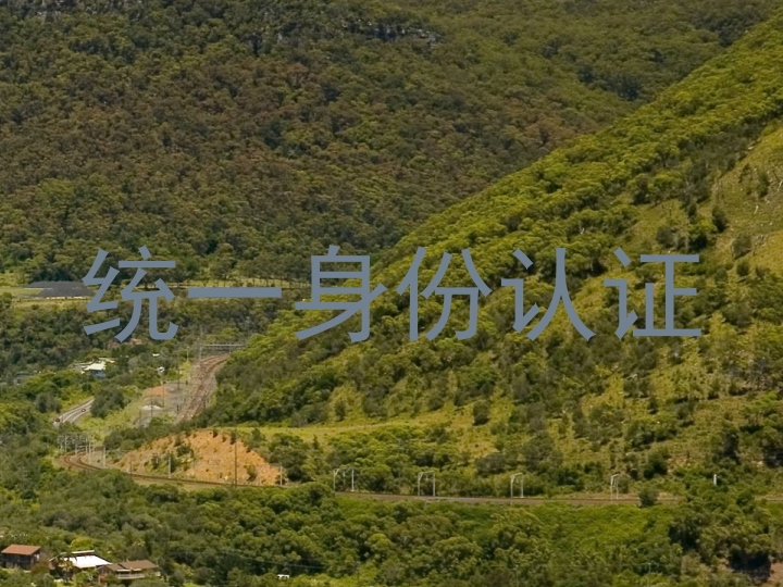 统一身份认证