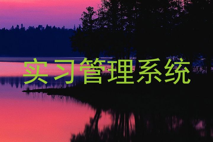实习管理系统