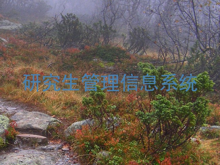 研究生管理信息系统