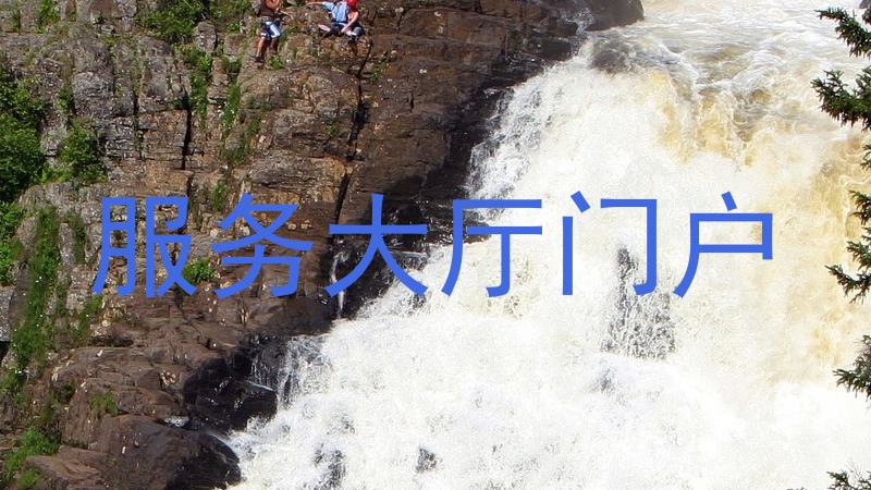 服务大厅门户