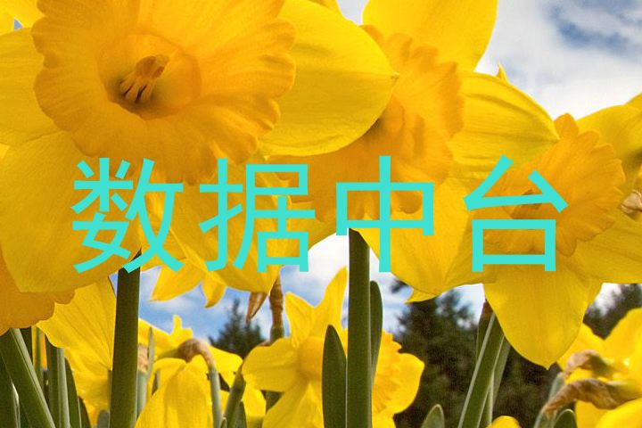 数据中台