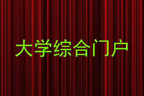 大学综合门户