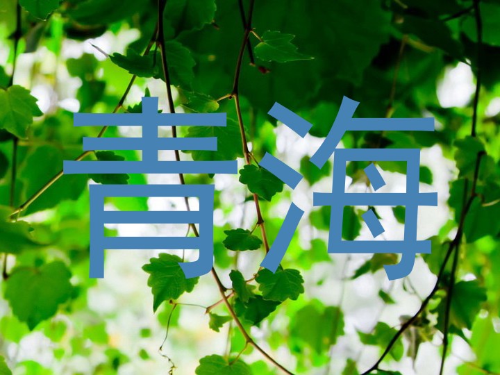 青海