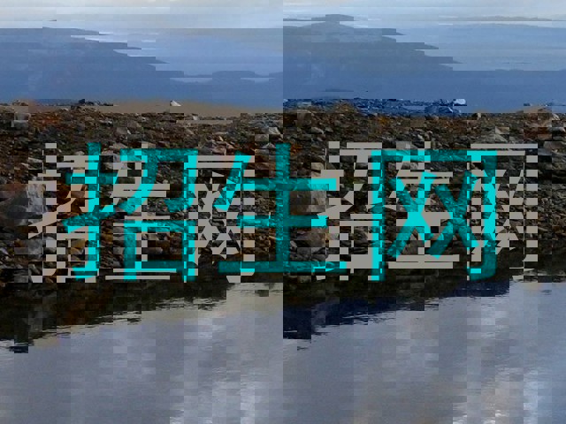 招生网
