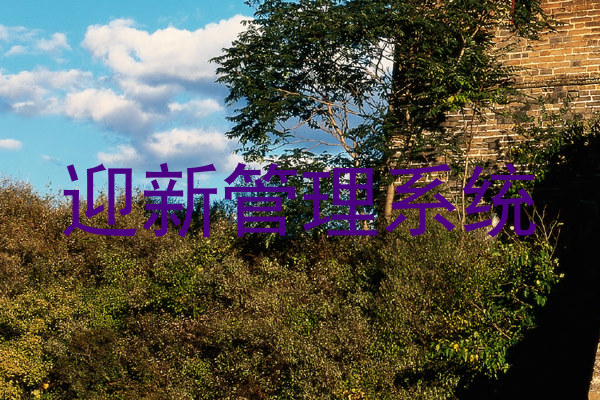 迎新管理系统