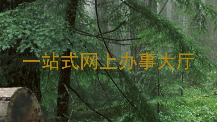 一站式网上办事大厅