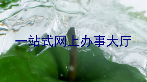 一站式网上办事大厅