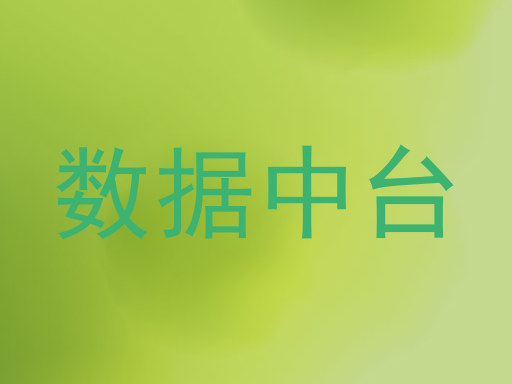 数据中台