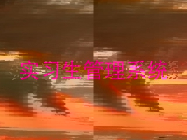 实习生管理系统