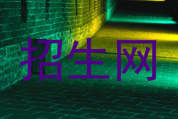 招生网