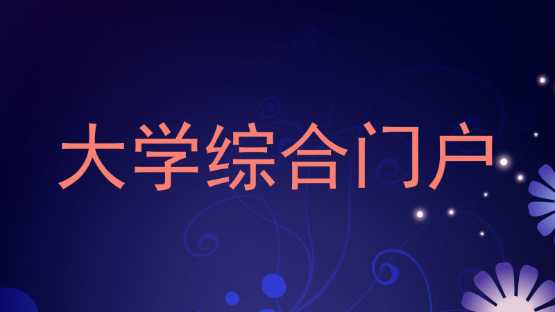 大学综合门户