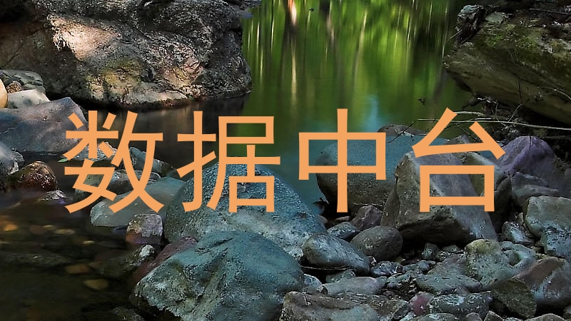 数据中台