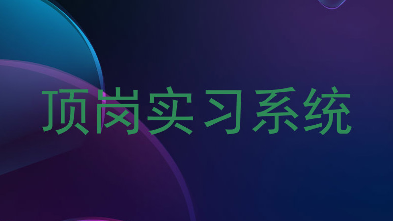 顶岗实习系统