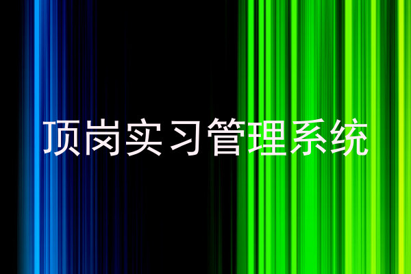 顶岗实习管理系统