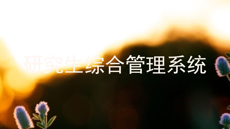 研究生综合管理系统