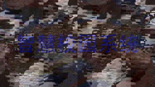 智慧校园系统
