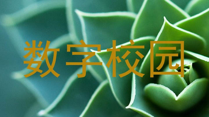 数字校园