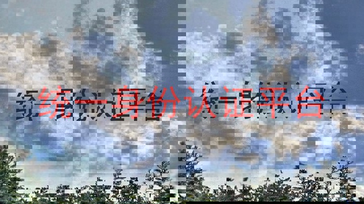统一身份认证平台