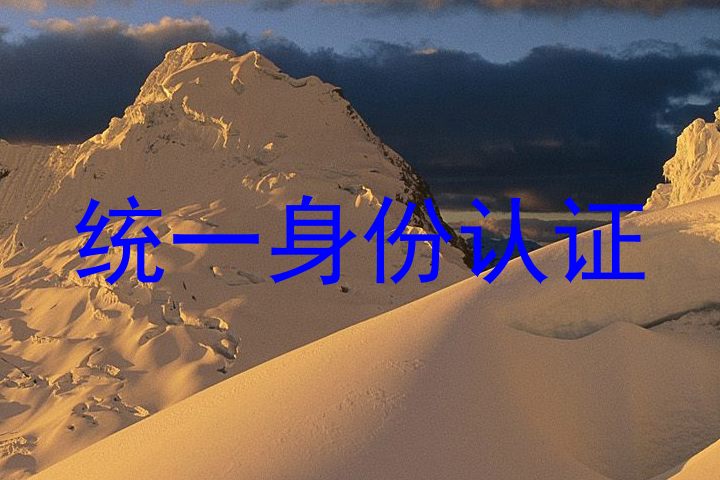 统一身份认证