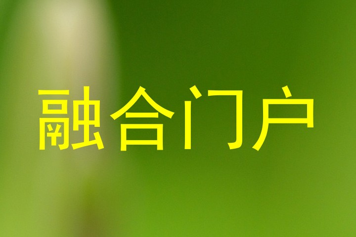 融合门户
