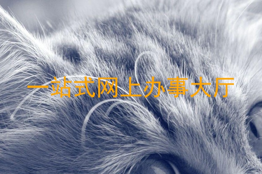 一站式网上办事大厅