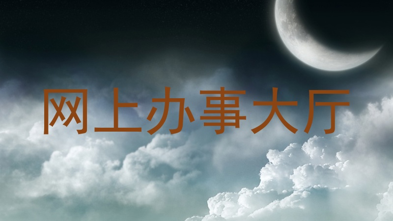 网上办事大厅