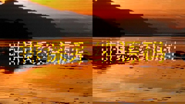 排课系统源码