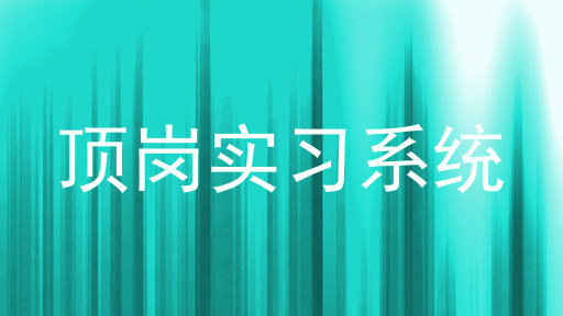 顶岗实习系统