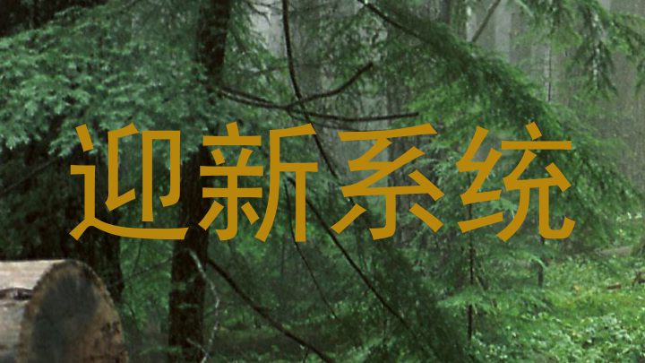 迎新系统