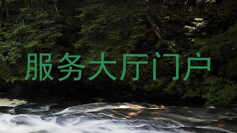 服务大厅门户