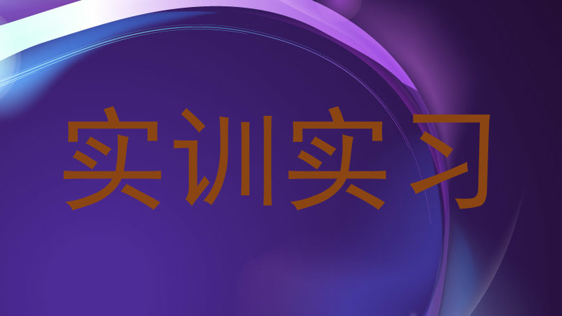 实训实习
