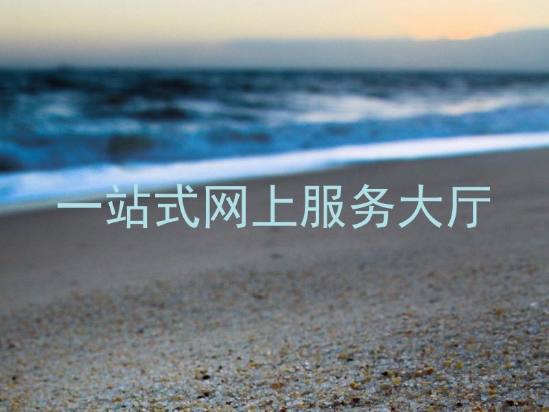 一站式网上服务大厅