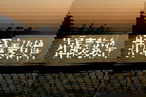 排课表软件