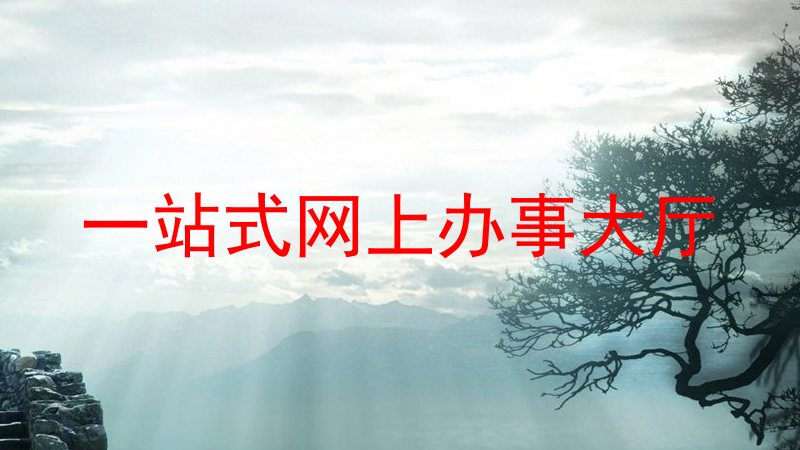 一站式网上办事大厅