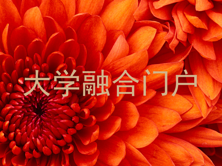 大学融合门户
