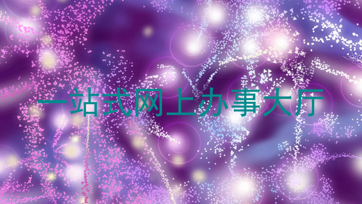 一站式网上办事大厅