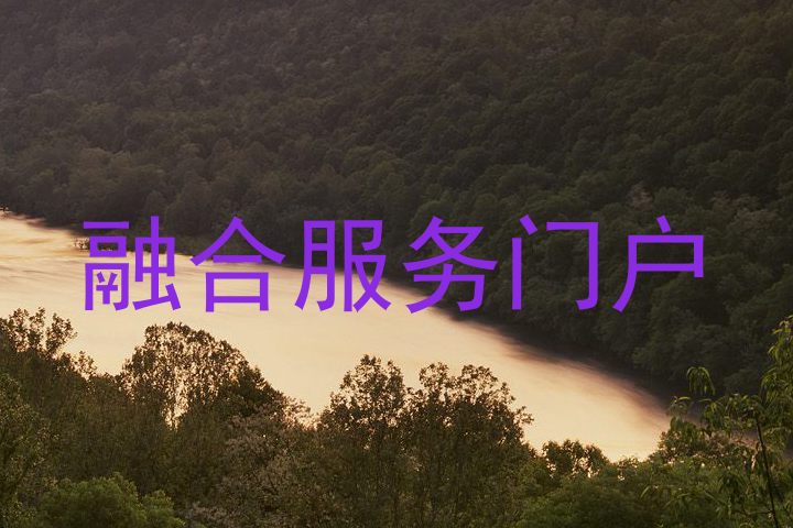 融合服务门户