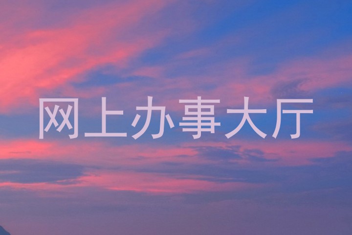 网上办事大厅