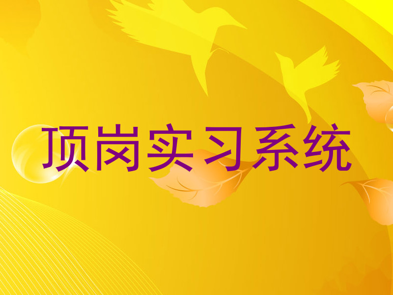 顶岗实习系统