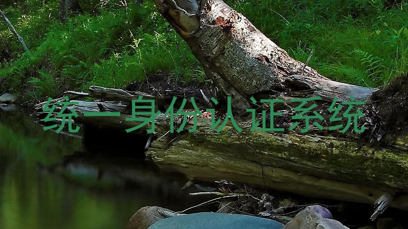 统一身份认证系统