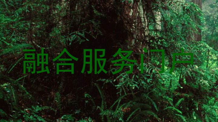 融合服务门户