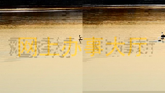 网上办事大厅
