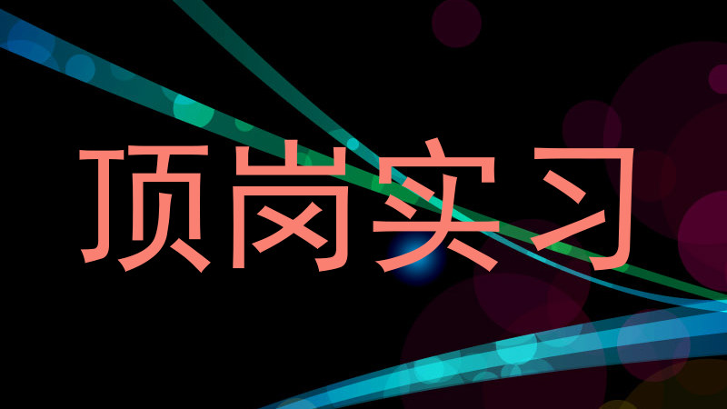 顶岗实习