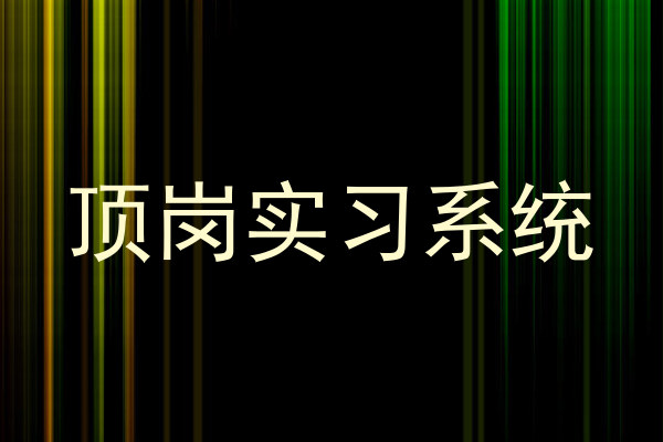 顶岗实习系统