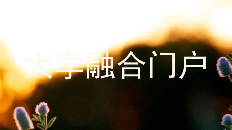 大学融合门户