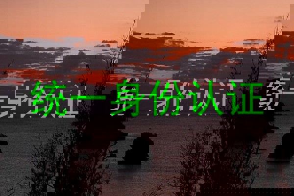 统一身份认证